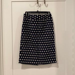 Banana Republic Pencil Skirt